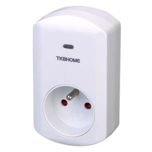 Prise commandée Wall Plug EU-F TZ68F RISCO – Risco 1RPZWVP868EUE